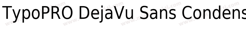 TypoPRO DejaVu Sans Condensed Bold字体转换